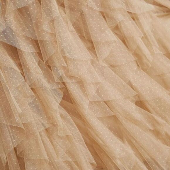 Anthropologie The Cheri Ruffled Tulle Midi Skirt in Beige NWOT - Picture 4 of 6